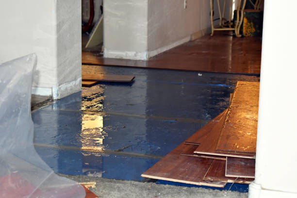 Professional Crawl Space Water Removal technician working in Canton, MA
